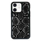 For iPhone 12 Exclusive Design Style PC Full Coverage Pattern Phone Case(Black Python Texture) - 1