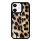 For iPhone 12 Exclusive Design Style PC Full Coverage Pattern Phone Case(Leopard Pattern D) - 1