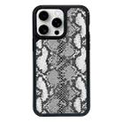 For iPhone 12 Pro Max Exclusive Design Style PC Full Coverage Pattern Phone Case(Silver Python Texture) - 1