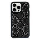 For iPhone 12 Pro Max Exclusive Design Style PC Full Coverage Pattern Phone Case(Black Python Texture) - 1