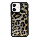 For iPhone 11 Exclusive Design Style PC Full Coverage Pattern Phone Case(Leopard Pattern C) - 1