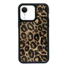 For iPhone XR Exclusive Design Style PC Full Coverage Pattern Phone Case(Leopard Pattern B) - 1