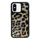 For iPhone XS Max Exclusive Design Style PC Full Coverage Pattern Phone Case(Leopard Pattern C) - 1