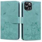 For iPhone 14 Pro Cute Cat Embossed Leather Phone Case(Green) - 1