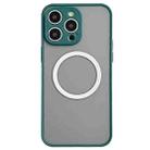 For iPhone 16 Pro Max Hawkeye Skin Feel MagSafe Phone Case(Dark Green) - 1