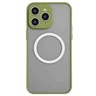 For iPhone 11 Pro Max Hawkeye Skin Feel MagSafe Phone Case(Army Green) - 1