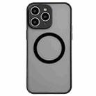 For iPhone 11 Pro Hawkeye Skin Feel MagSafe Phone Case(Black) - 1