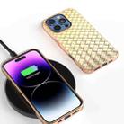 For iPhone 16 Pro Electroplated Frame Woven Texture PU Phone Case(Gold) - 2