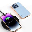 For iPhone 16 Pro Max ABEEL Electroplating Frame Genuine Leather Wave Phone Case(Blue) - 2