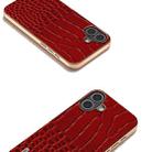 For iPhone 16 Plus ABEEL Electroplated Frame Genuine Leather Crocodile Pattern Phone Case(Red) - 3