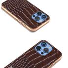 For iPhone 16 Pro ABEEL Electroplated Frame Genuine Leather Crocodile Pattern Phone Case(Coffee) - 3