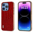 For iPhone 16 Pro Max ABEEL Electroplated Frame Genuine Leather Crocodile Pattern Phone Case(Red) - 1