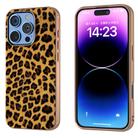 For iPhone 16 Pro Nano Plating Leopard Print Phone Case(Brown) - 1