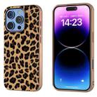 For iPhone 16 Pro Nano Plating Leopard Print Phone Case(Gold) - 1