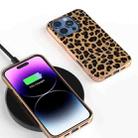 For iPhone 16 Pro Nano Plating Leopard Print Phone Case(Gold) - 2