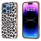 For iPhone 16 Pro Max Nano Plating Leopard Print Phone Case(Silver) - 1