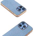 For iPhone 16 Pro Max Nano Plating Diamond Texture Phone Case(Blue) - 3