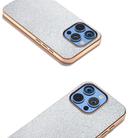 For iPhone 16 Pro Nano Plating Diamond Texture Phone Case(Silver) - 3