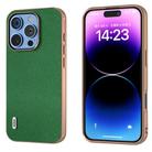 For iPhone 16 Pro Max ABEEL Genuine Leather Mino Series Nano Plating Phone Case(Green) - 1