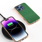 For iPhone 16 Pro Max ABEEL Genuine Leather Mino Series Nano Plating Phone Case(Green) - 2