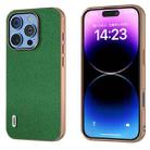 For iPhone 16 Pro ABEEL Genuine Leather Mino Series Nano Plating Phone Case(Green) - 1