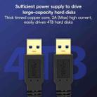 USB 3.0 Male To USB 3.0 Male Double End USB Cable, Length:0.3m(Black) - 2