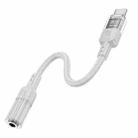 hoco LS37 Spirit Transparent Type-C to 3.5mm Digital Audio Adapter Cable(Grey) - 2