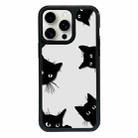 For iPhone 15 Pro Max Exclusive Design Style PC Full Coverage Pattern Phone Case(Black Cat) - 1