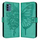 For Nokia C300 Embossed Butterfly Leather Phone Case(Green) - 2