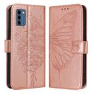 For Nokia C300 Embossed Butterfly Leather Phone Case(Rose Gold) - 2