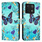 For Xiaomi 14T Pro Colored Drawing Pattern Plain Weave Leather Phone Case(Love Butterfly) - 2