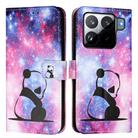 For Xiaomi 15S Pro Colored Drawing Pattern Plain Weave Leather Phone Case(Baby Panda) - 2
