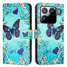 For Xiaomi 15S Pro Colored Drawing Pattern Plain Weave Leather Phone Case(Love Butterfly) - 2