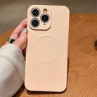 For iPhone 11 Pro Solid Color Liquid Silicone MagSafe Magnetic Phone Case(Pink) - 1