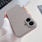 For iPhone 17 Solid Color Liquid Silicone MagSafe Magnetic Phone Case(Grey) - 1