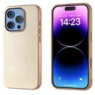 For iPhone 16 Pro Max PU Leather Electroplating Frame Full Coverage Phone Case(Gold) - 1