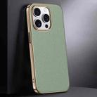 For iPhone 16 Pro Max First Layer Cowhide Leather Electroplated PC Phone Case(Green) - 1