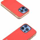 For iPhone 16 Pro ABEEL Electroplating Frame Genuine Leather Luolai Series Phone Case(Red) - 3