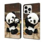 For iPhone 16 Pro Crystal Painted Leather Phone case(Panda) - 1