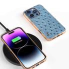 For iPhone 16 Pro Max ABEEL Electroplating Frame Genuine Leather Ostrich Texture Phone Case(Dark Blue) - 2