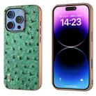 For iPhone 16 Pro Max ABEEL Electroplating Frame Genuine Leather Ostrich Texture Phone Case(Green) - 1