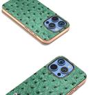 For iPhone 16 Pro Max ABEEL Electroplating Frame Genuine Leather Ostrich Texture Phone Case(Green) - 3