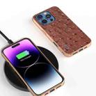 For iPhone 16 Pro ABEEL Electroplating Frame Genuine Leather Ostrich Texture Phone Case(Coffee) - 2