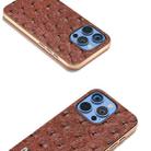 For iPhone 16 Pro ABEEL Electroplating Frame Genuine Leather Ostrich Texture Phone Case(Coffee) - 3