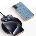 For iPhone 16 ABEEL Electroplating Frame Genuine Leather Ostrich Texture Phone Case(Dark Blue) - 2