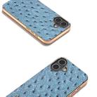 For iPhone 16 ABEEL Electroplating Frame Genuine Leather Ostrich Texture Phone Case(Dark Blue) - 3