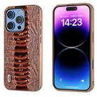 For iPhone 16 Pro ABEEL Electroplating Frame Genuine Leather Weilai Series Phone Case(Coffee) - 1