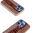 For iPhone 16 Pro ABEEL Electroplating Frame Genuine Leather Weilai Series Phone Case(Coffee) - 3