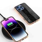 For iPhone 16 Pro ABEEL Electroplating Frame Genuine Leather Weilai Series Phone Case(Black) - 2