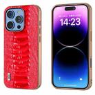 For iPhone 16 Pro Max ABEEL Electroplating Frame Genuine Leather Weilai Series Phone Case(Red) - 1